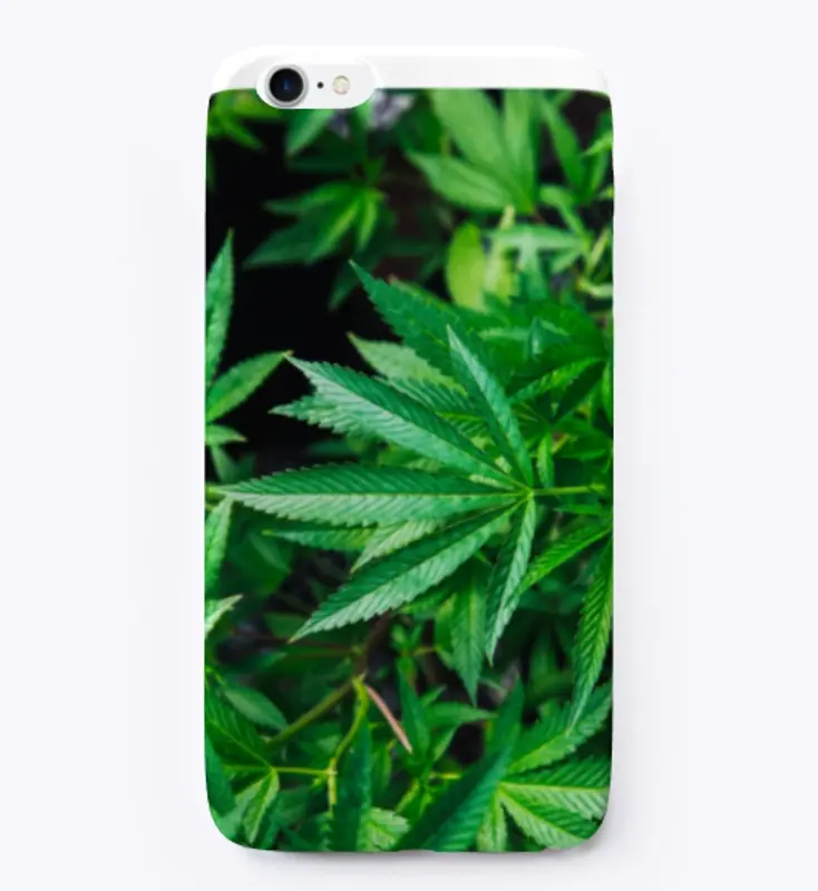 Marijuana Accessories 